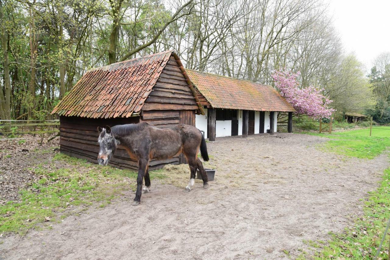 B&B Domein Rodin Oud-Turnhout Eksteriør bilde