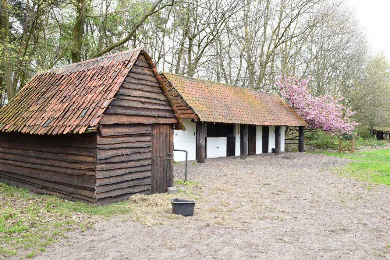 B&B Domein Rodin Oud-Turnhout Eksteriør bilde
